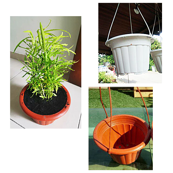 Random Hanging Plastic Flower Pot 21cm CP 220