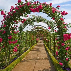 Metal Garden Arch Trellis