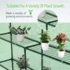 IPRO Mini Greenhouse