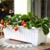 Rectangular Plastic Planter Box