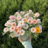 Portulaca Sun Daze Flower Seeds 20pcs