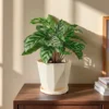 Plastic Flower Pot with Tray