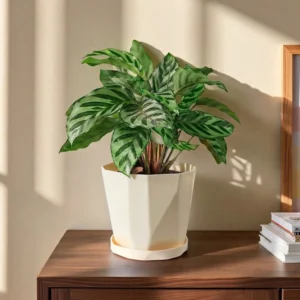 Plastic Flower Pot with Tray