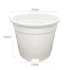 sg-11134201-8262w-mj7u28crmxvp8c.webp Random Plastic Flower Pot NP170 L17cm W17cm H14cm