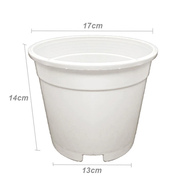 sg-11134201-8262w-mj7u28crmxvp8c.webp Random Plastic Flower Pot NP170 L17cm W17cm H14cm